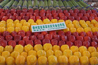 著力打造農(nóng)業(yè)品牌，全力促進(jìn)農(nóng)民增收——我市積極參展2014年中國（海南）國際熱帶農(nóng)產(chǎn)品冬季交易會(huì)