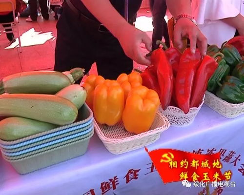 寒地黑土農(nóng)產(chǎn)品芳香四溢 展銷洽談孕育無限商機(jī)